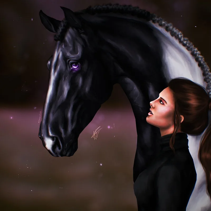 Black horse and rider