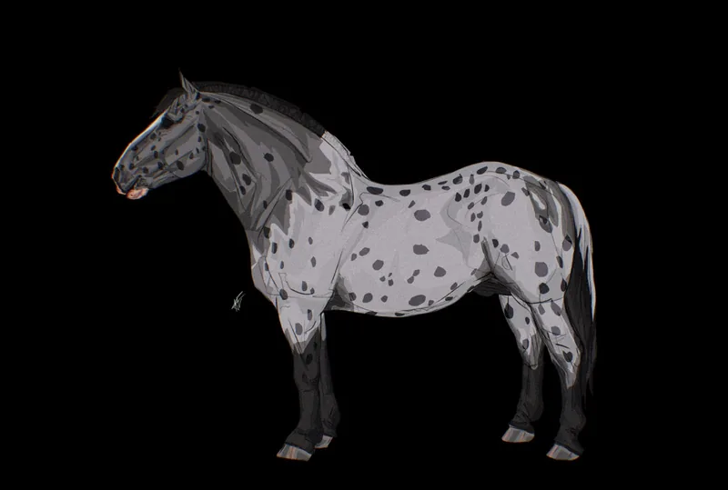 Appaloosa reference