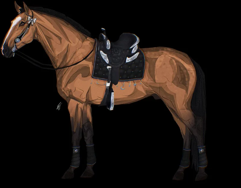 Bay horse in western tack